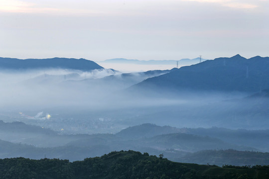 长龙茶山