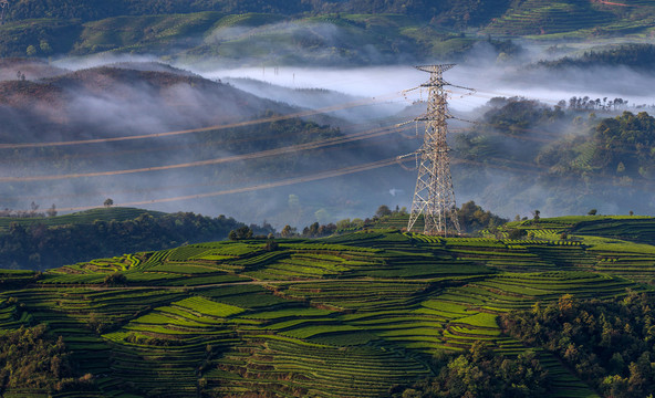 长龙茶山