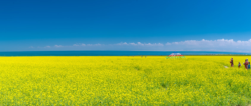 青海湖大画幅