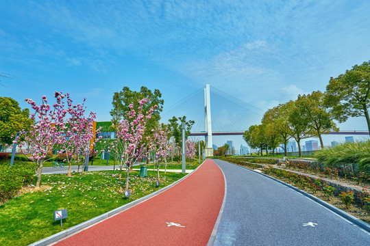 上海绿道