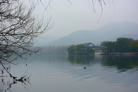 西湖美景