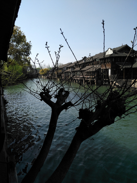 乌镇风景