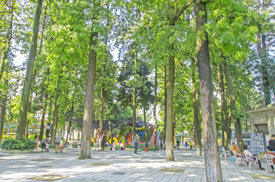 赣州儿童公园树林
