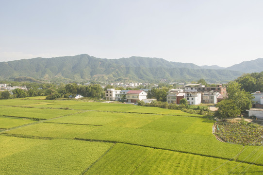 农村乡土风景