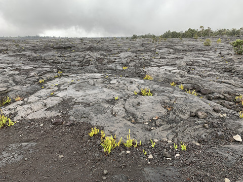 夏威夷火山国家公园