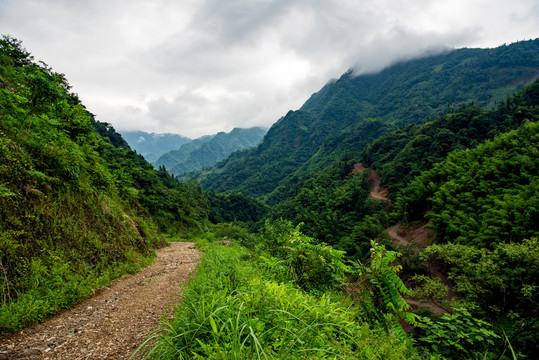 山路