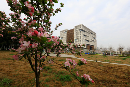 武汉理工大学图书馆