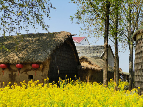 小岗村当年农家