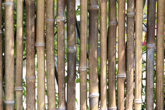 竹篱笆背景素材
