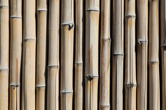 竹排背景墙素材