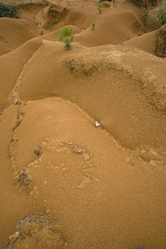 黄土