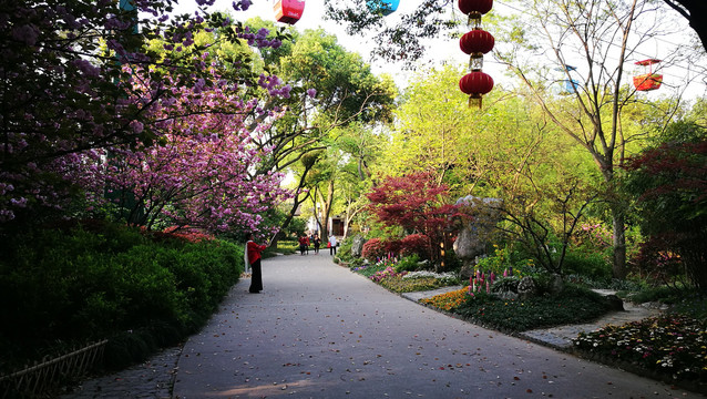 无锡锡惠公园春景