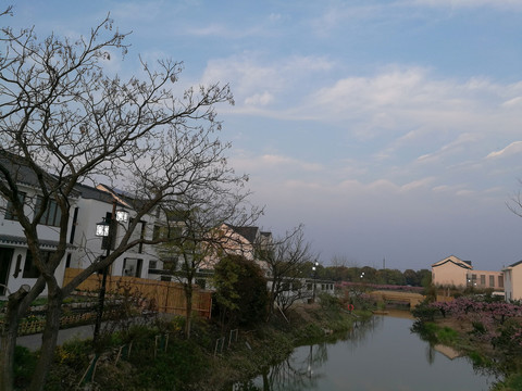 上海奉贤吴房村春天美景