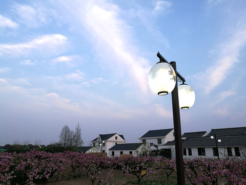 上海奉贤吴房村春天美景