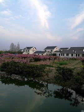 上海奉贤吴房村春天美景