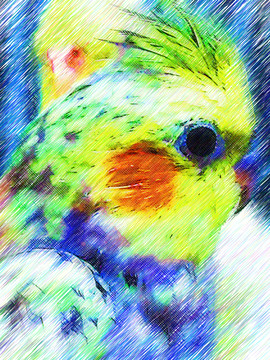 鳥裝飾畫