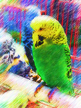 鳥裝飾畫