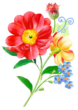 鮮艷花組合