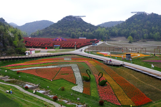 百里杜鹃彝山花谷