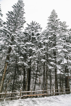 雪山