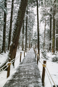 雪山