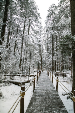 雪山