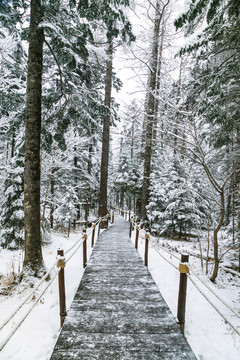 雪山