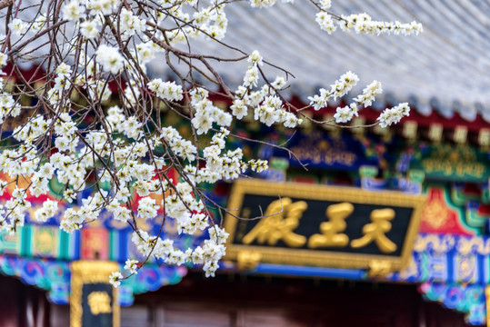 辽宁沈阳北塔护国法轮寺