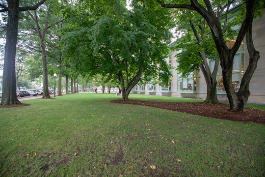 麻省理工学院009