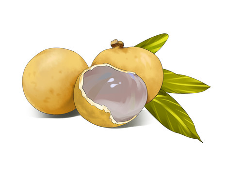 桂圓