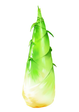 竹筍