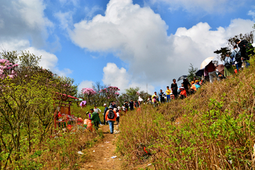 大山风景