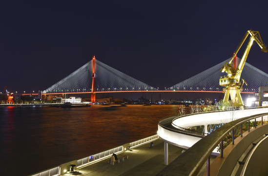 上海杨浦大桥夜景