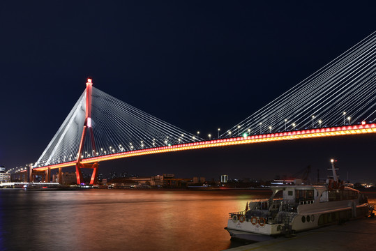 上海杨浦大桥夜景