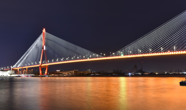 上海杨浦大桥夜景