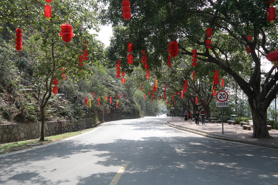 新会圭峰山道路风景