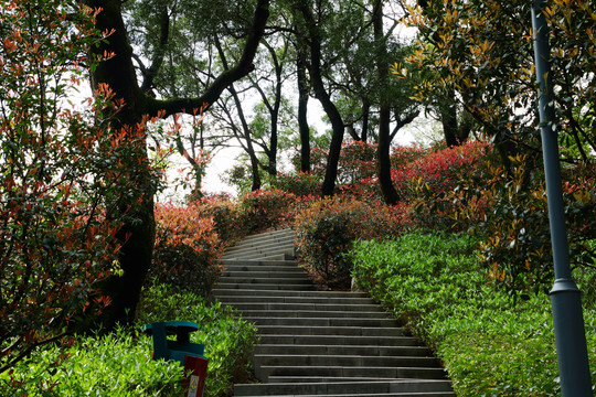 福州金鸡山公园