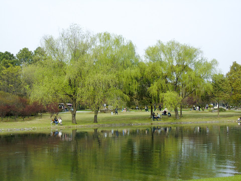 沿岸湖边风景拍照