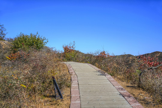 登山步道高清大图