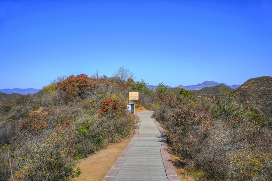 登山步道高清大图