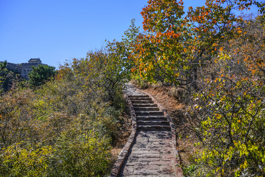 登山步道高清大图