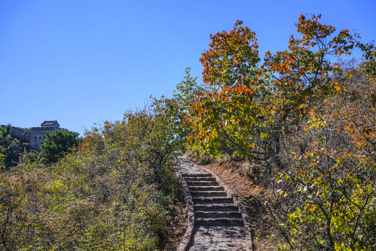 登山步道高清大图