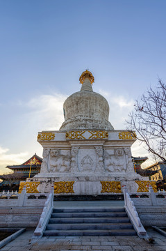 辽宁沈阳东塔护国永光寺