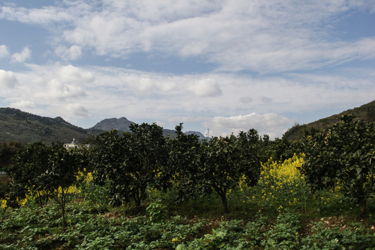 湖北山区村镇