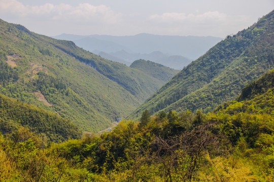 武陵山