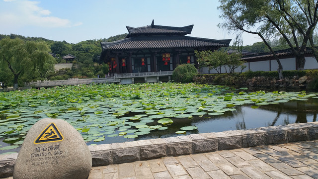 风景池塘