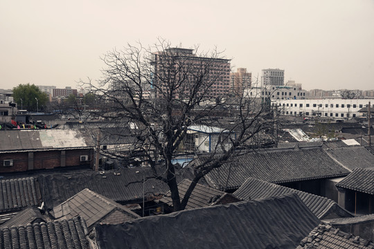 老北京四合院楼顶