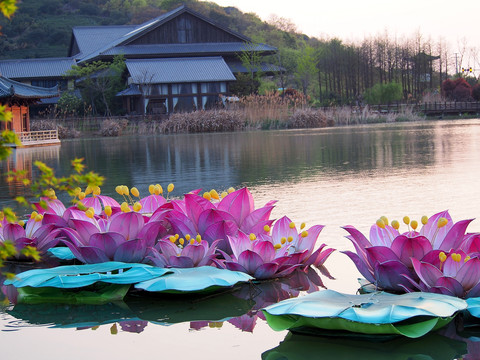 无锡拈花湾拈花湖风光