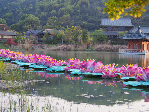 无锡拈花湾拈花湖风光