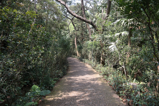 圭峰山鹅卵石小路